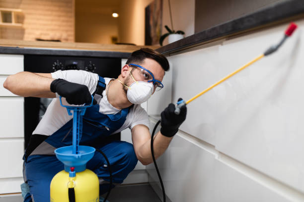 Best Pest Prevention Services  in New Sharon, IA