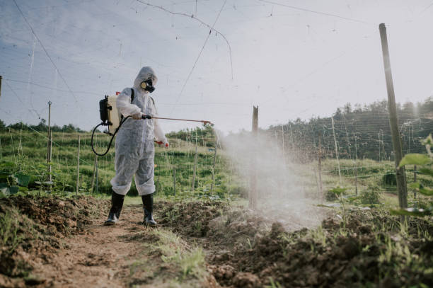 Best Mosquito Control Services  in New Sharon, IA