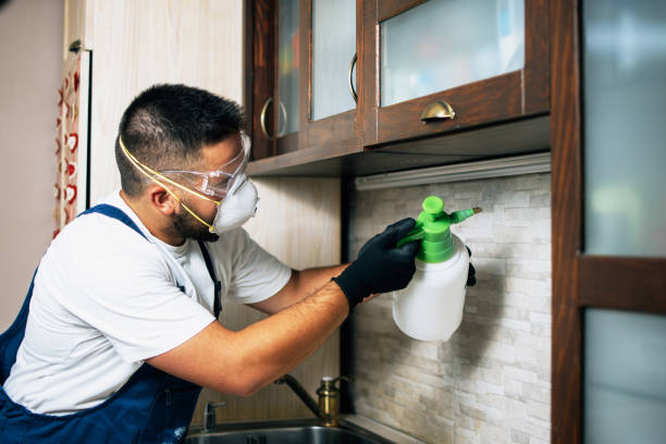 Best Residential Pest Control  in New Sharon, IA