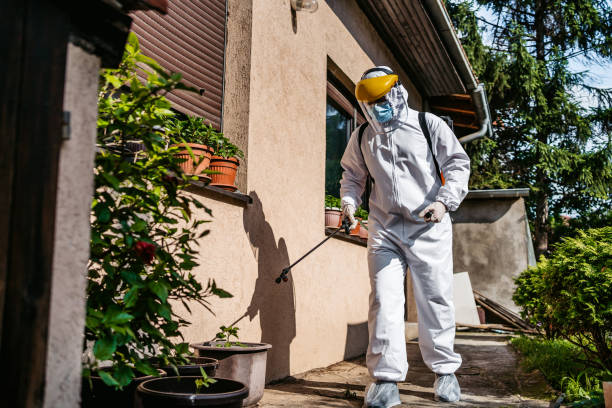Best Affordable Pest Control Services  in New Sharon, IA