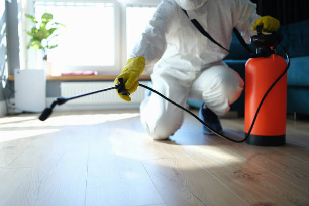 Best Bed Bug Extermination  in New Sharon, IA