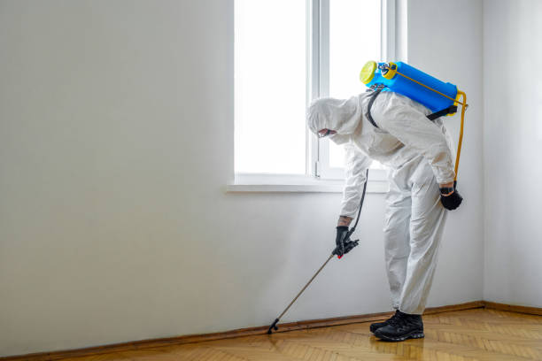 Best Wildlife Control Services  in New Sharon, IA