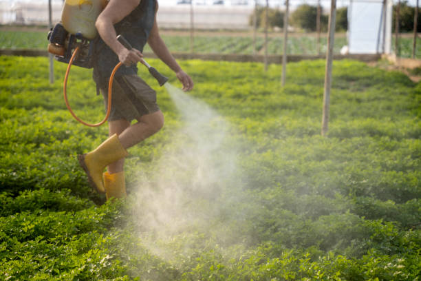 Best Pest Control Treatment  in New Sharon, IA