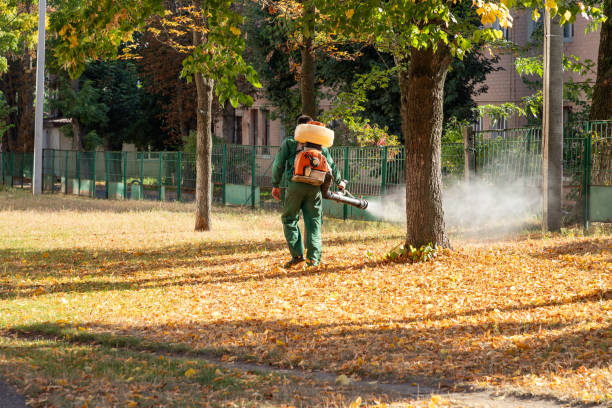 Best Commercial Pest Control Services  in New Sharon, IA